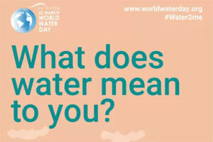 Día Mundial del Agua 2021, ¿qué significa el agua para ti?